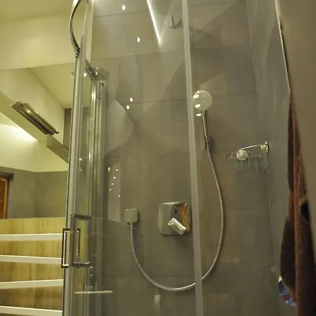 Apartament Stalowy Koscielisko Sywarne * Koscielisko