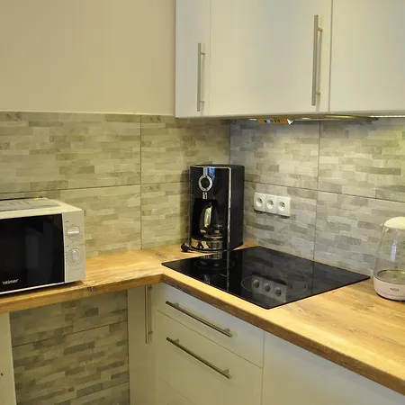 Apartment Apartament Stalowy Koscielisko Sywarne