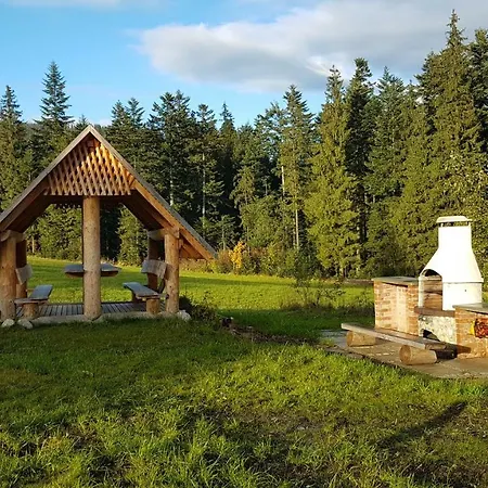 Stalowy Sywarne * Косцелиско