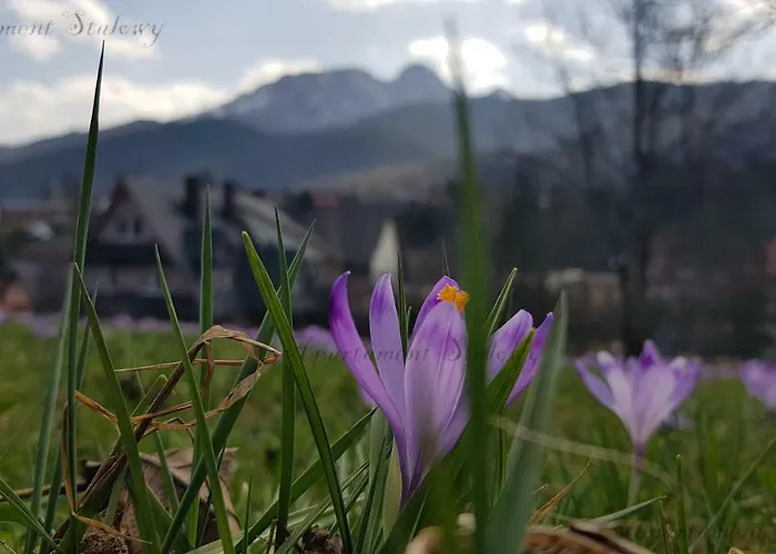 Stalowy Sywarne Appartamento Kościelisko